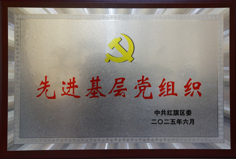 我公司黨委榮獲2025年度新鄉(xiāng)市紅旗區(qū)“先進(jìn)基層黨組織”榮譽(yù)稱號(hào)